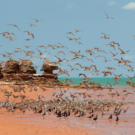 Broome Bird Observatory エクステリア 写真