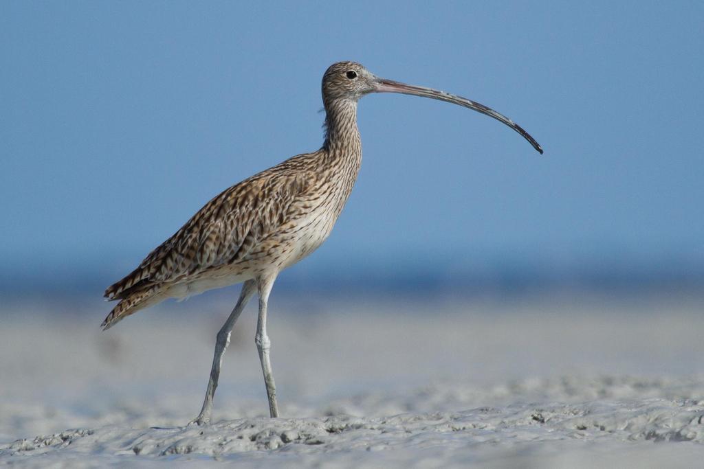 Broome Bird Observatory エクステリア 写真