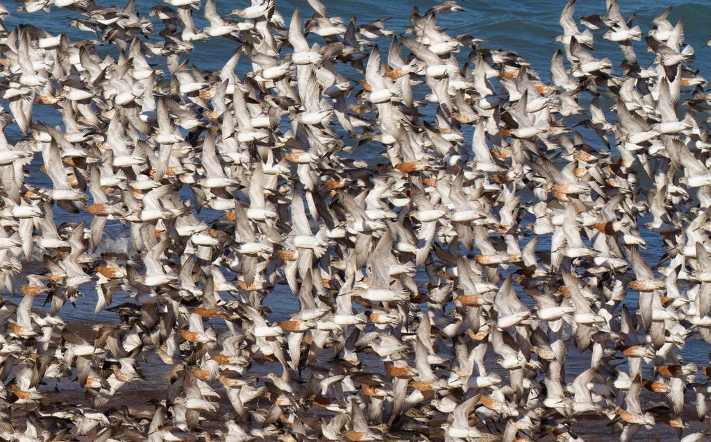 Broome Bird Observatory エクステリア 写真