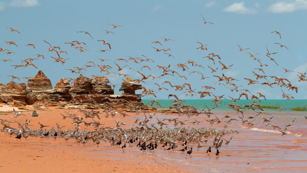 Broome Bird Observatory エクステリア 写真