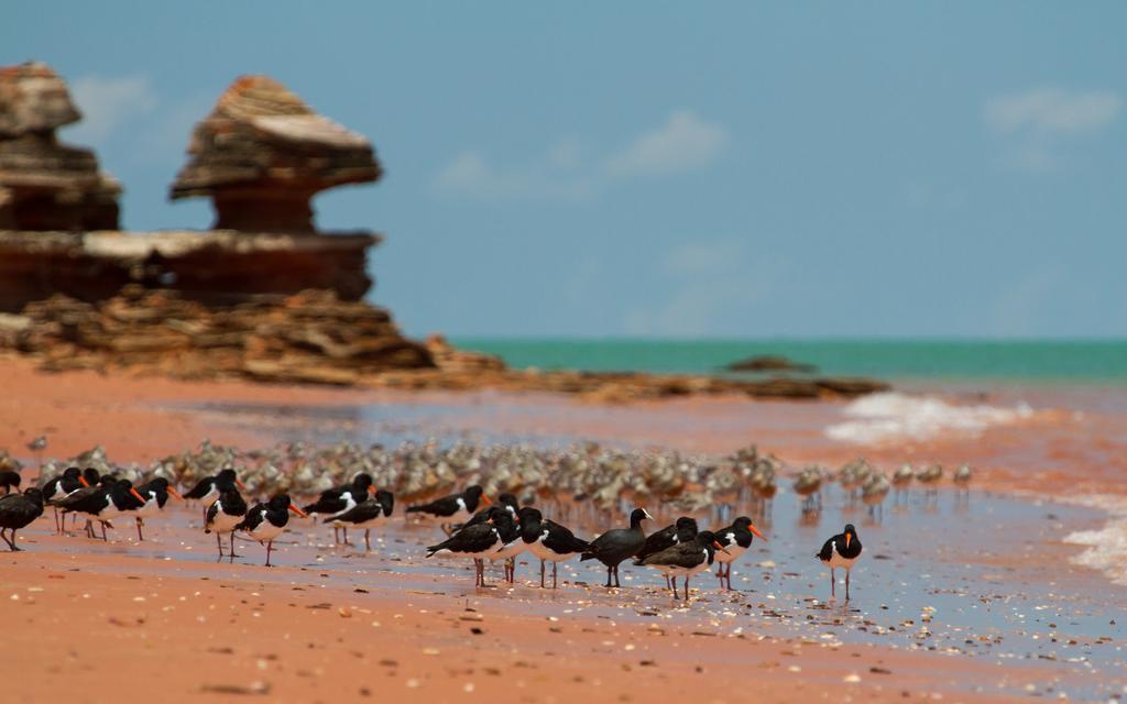 Broome Bird Observatory エクステリア 写真